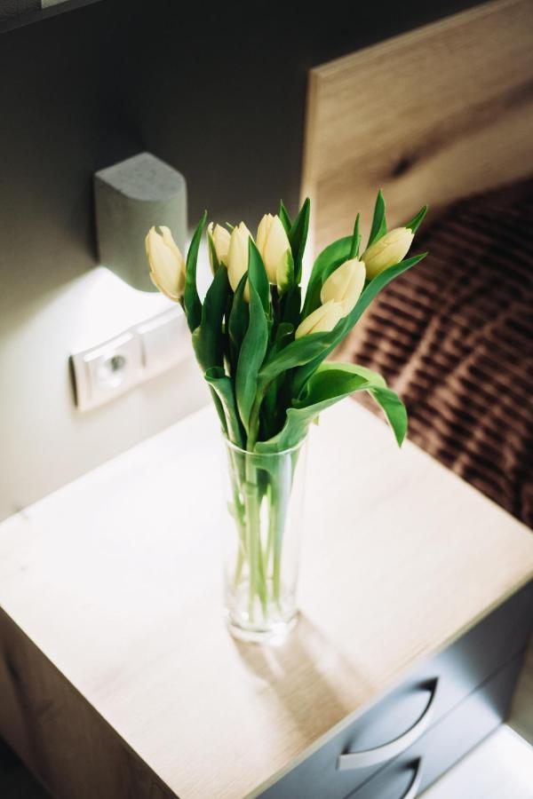 Apartament Loft De Luxe Winnica